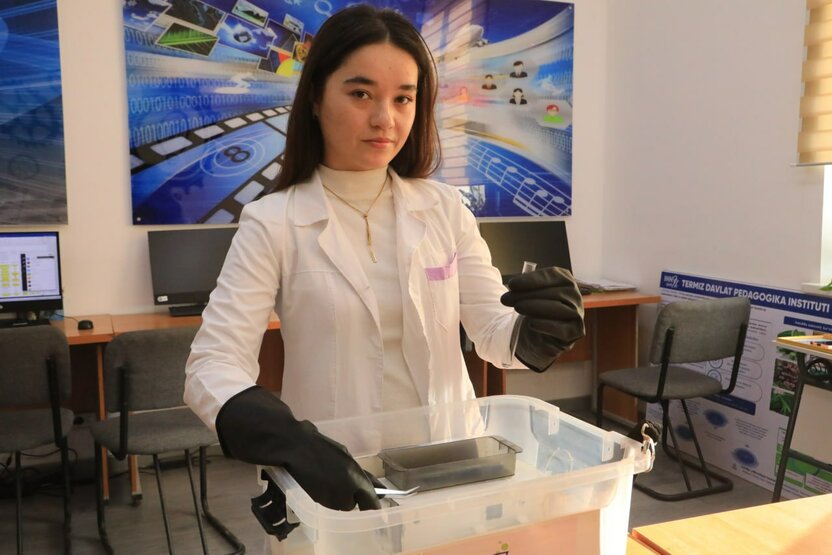 Termiz davlat pedagogika instituti talabasi chayon zaharini uni nobud qilmasdan oluvchi qurilma yaratdi