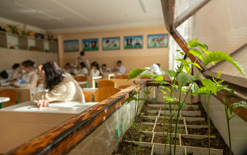 Maktablardagi ba’zi lavozimlar qisqartirildi